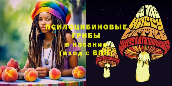эйфоретик Алексин