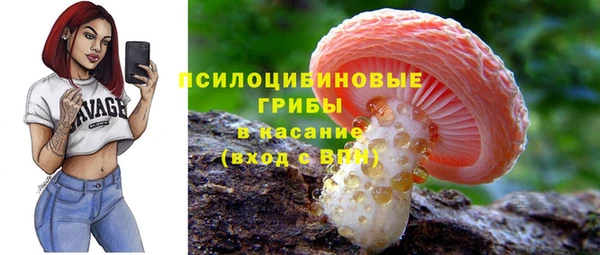 эйфоретик Алексин
