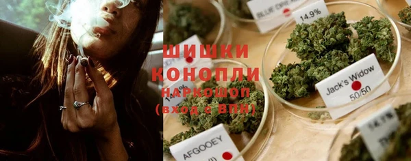 бошки Алзамай